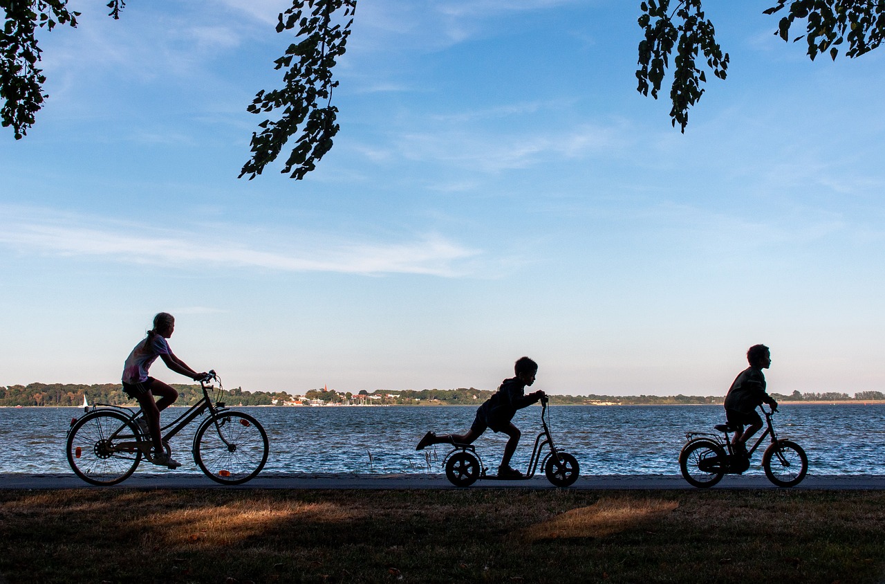 The Impact of Bike Lanes on Urban Sustainability